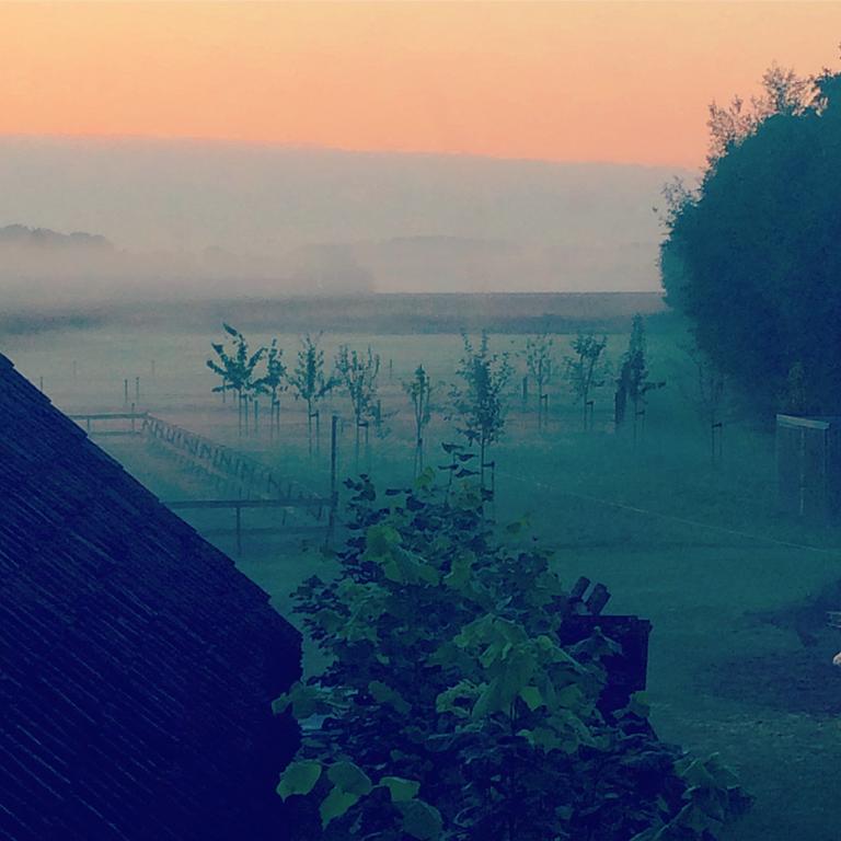 Bed & Breakfast Karakter Den Dungen Εξωτερικό φωτογραφία